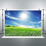 FLASIY 7x5FT Nature Scenery Photography Backdrop Green Grass Flowers Sunshine Blue Sky White Clouds Photo Background for Party Studio Outdoor Shooting Photo Video Props AYY004
