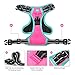 PHOEPET 2019 Upgraded No Pull Dog Harness, Reflective Adjustable Vest, with a Training Handle + 2 Metal Leash Hooks+ 3 Snap Buckles +4 Slide Buckles(XS, Pink)