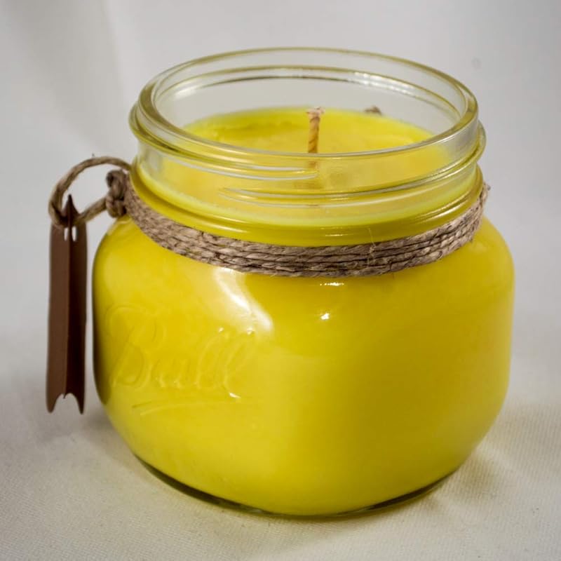 Lemon Vanilla Candle, Citrus Scented Candle,Summer Candle