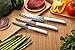 Uncle Jack's 3 Piece Ceramic Knife Set Black Blade with Stainless Steel Ergonomic Handle