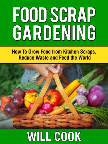 Food Scrap Gardening How To Grow Food From Scraps Reduce Waste