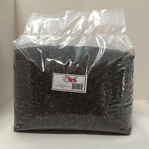 Beans72 Organic Buckwheat Hulls 10 lbs by Beans72 Buckwheat Pillows