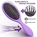 Hair Brush, Hair Detangler Brush with Nylon Bristles and Air Cushion, Pack of 2 Anti Static Wet Hair Brush To Reduce Frizz and Massage Scalp For Women and Men in Pink and Purple