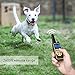 Ace Teah Dog Shock Collar with Remote, Dog Training Collar for Large Dogs,Waterproofthumb 1