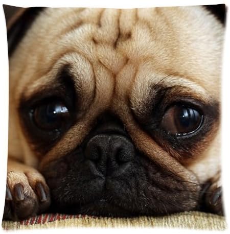 Elroy Carpenter Animal Dog Pet Puppy Pug Throw Pillow Case Cushion Covers 18X18 Inch