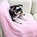 PAWZ Road Dog Blanket, Super Soft and Warm Fleece Pet Blanket, No Shedding and Double Layers Couch Bed Cover for Dogs and Cats