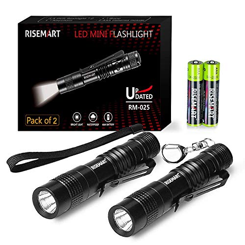 Flashlight Keychain, RISEMART Small Mini Led Flashlights, Super Bright Pocket Pen Light, CREE XPE-R3 100 Lumens, EDC 3.5inch Waterproof with Clip and AAA Battery for Outdoor Hiking, Camping