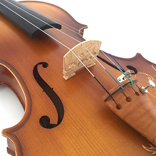 Kinglos 4/4 Flower Carved Ebony Fitted Solid Wood Violin Kit with Case, Shoulder Rest, Bow, Rosin, Extra Bridge and Strings Full Size (DH003)