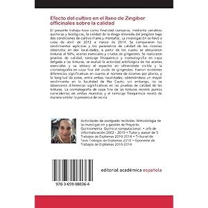 Efecto del cultivo en el llano de Zingiber officinales sobre la calidad (Spanish Edition)