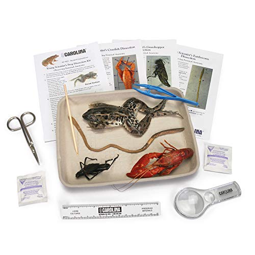 Young Scientist's Animal Dissection Kit - Thumbnail 2