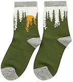 Gymboree Little Boys' Crew Sock, Tree, L
