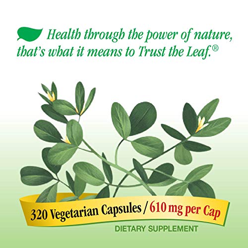 FENUGREEK FOR INCREASED BREAST MILK Epic Natural Health