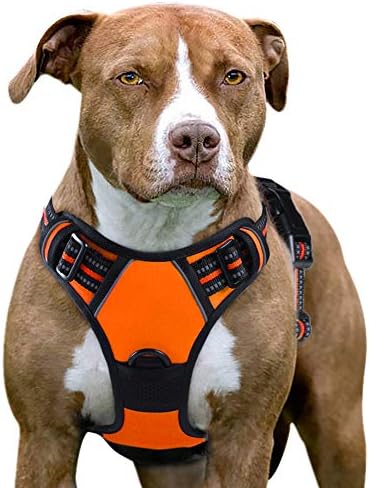 walkright control dog harness