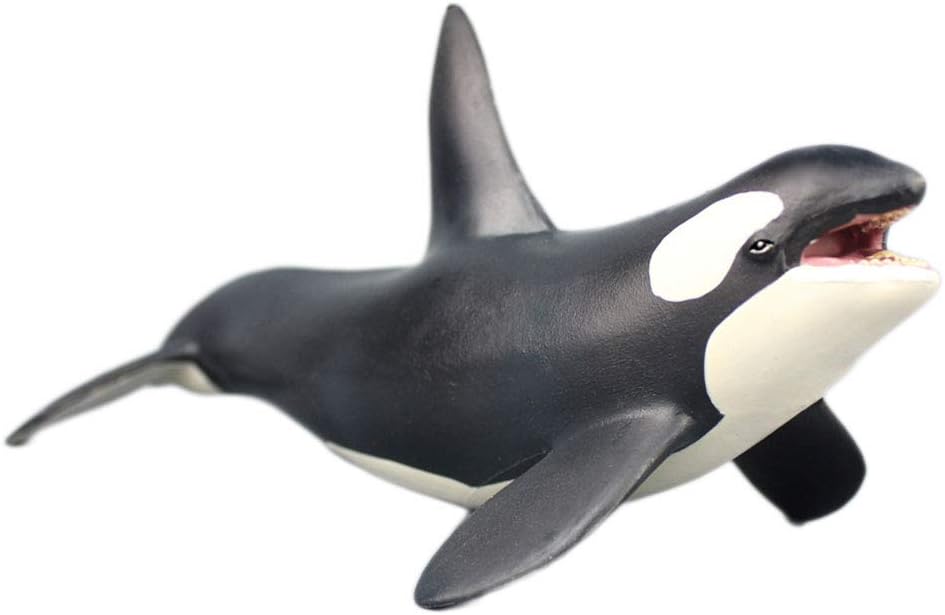 The Orca Blackfish Aquarium Decor