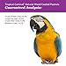 F.M. Brown's Tropical Carnival Natural Mixed Coated Peanuts for Medium to Large Parrots, Cockatoos, and Macaws, 3.5-oz Bag - Training Treat with Natural Antioxidants from Berries and Veggies