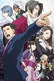 Phoenix Wright Ace Attorney Dual Destinies Apollo Justice Objection Nice Silk Fabric Cloth Wall Poster Print (36x24inch)
