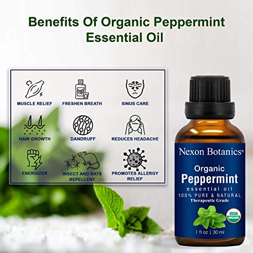 Nexon Botanics Organic Peppermint Essential Oil 30 ml - USDA Certified Pure Natural Essential Oils Peppermint Oil to Repel Mice - Menthol from Mentha Piperita - Cooling Smell with Fresh Mint Oil - Thumbnail 5
