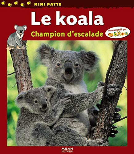 Koala Champion Descalade Amazon Co Uk Callioni Joseph Books Koala Champion Descalade Amazon Co Uk Callioni Joseph Books