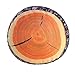 Tianmeijia 2PCS Creative 3D Round Wood Tree Soft Plush Chair Seat Cushion Stump Shaped Pillow + Stump Log Throw Pillow for Home Office Car Soft Decor Washable