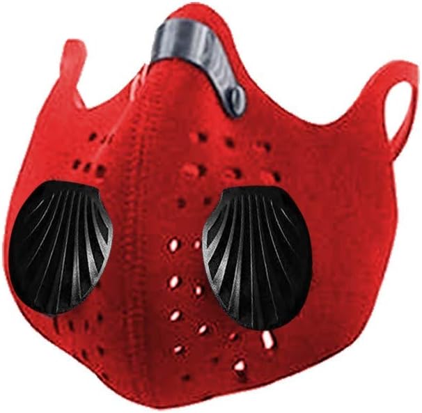 LILICHIC Dust mäsk Anti Pollution Breathing Valve Washable Safety mäsk Protection from Dust, Pollen, Pet Dander, Other Airborne Irritants
