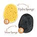 Replacement Sponges for Back Applicator Deluxe: Huge 20 Pack. Stick Sponge Onto Handle to Put Lotion, Medical Cream, Aloe Vera Gel, Health Supplies & Medicine on Your Body, Feet. Easy Application Tool