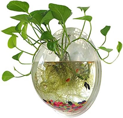 Sweetsea Hanging Wall Mounted Fish Bowl Betta Tank Aquarium Wall Decor Plant Fish Bubble