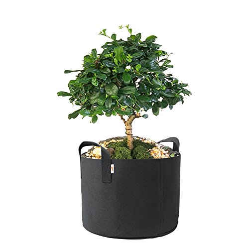 5 HONEST+OUTFITTERS+Container+Aeration+Handles