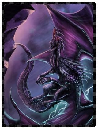 magic Dragon,Mysterious Dragon,Fire Breathing Dragon Super Soft Fleece Blankets and throws 58 X 80 inch (Large)