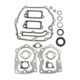 Briggs & Stratton 590508 Engine Gasket Set Replaces 794307, 497316