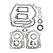 Briggs & Stratton 590508 Engine Gasket Set Replaces 794307, 497316,Grey