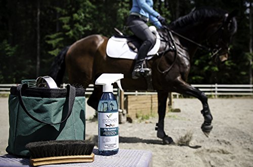 6 ECOVET+Horse+Spray+Repellent+Insecticide