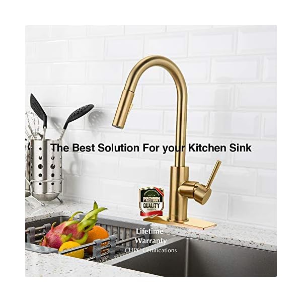 Gold Kitchen Faucet With Pull Down Sprayer Kitchen Faucet Sink
