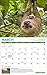 Greenpeace Wall Calendar 2019 Monthly January-December 15'' x 12