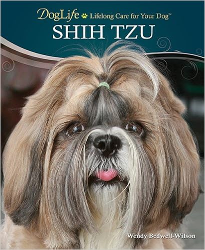 Shih Tzu (Doglife Series) �����O���{  - 2011/7/31