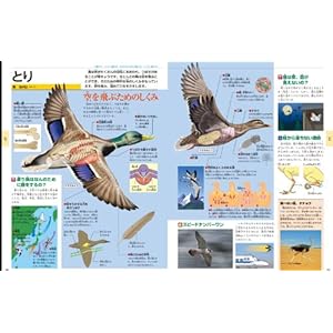 Shogakukan Children's Encyclopedia (2011) ISBN: 409221104X [Japanese Import]