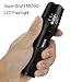MIZOO LED Flashlight Mini Portable Torch Adjustable Focus, Super Bright - Sturdy and Durable Aluminium Structures - Water Resistant Lighting Lamp Torch For Hiking, Camping, Emergency