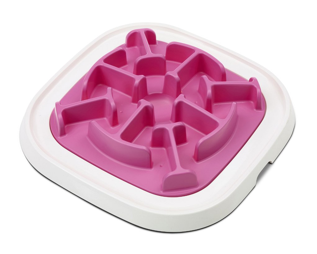 Savic Pet Enigma 034009 Cat Intelligence Toy