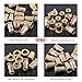 Hilitchi 120 Pcs 1/4-20 UNC Rivet Nuts Threaded Insert Nut (1/4-20 UNC Rivnut)