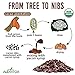 Alovitox Cacao Nibs With Organic Yacon Syrup | Healthy Protein Bite Snack (Raw, Non-GMO, Sugar Free, Keto, Paleo, Gluten Free & Vegan) | Antioxidant With Criollo Chocolate Extracts | 8 Oz