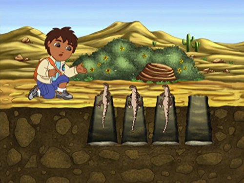 Watch Go, Diego, Go! - Season 2 | Prime Video