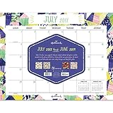 TF Publishing 19-8145A July 2018 - June 2019 Art of Hallmark Desk Pad Calendar, 22 x 17