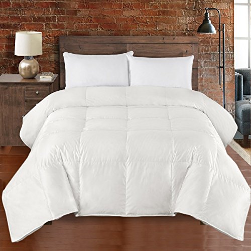 Abripedic SILK GOOSE-DOWN COMFORTER, Luxury Down Duvet Insert, 450 TC Cotton-Silk Solid Shell 650FP, Full/Queen