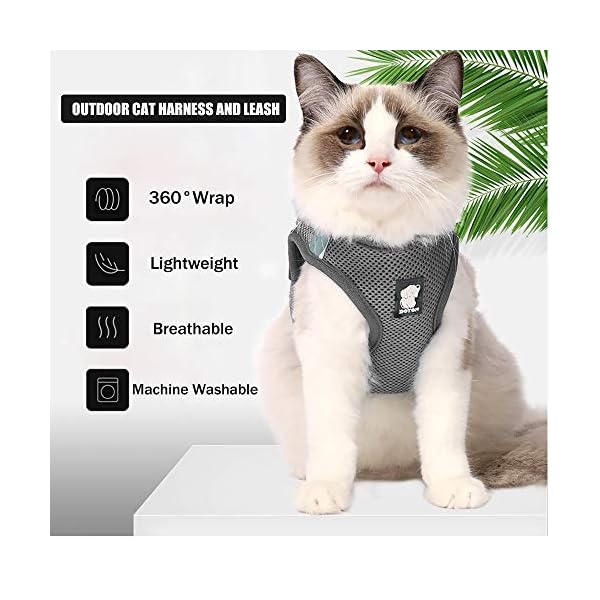 extra long cat leash