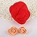 Needle Felting Starter Kit 1 Roll Colorful Felting Wool Roving Hand Spinning Sewing Trimming Merino Wool Fibre(Red)