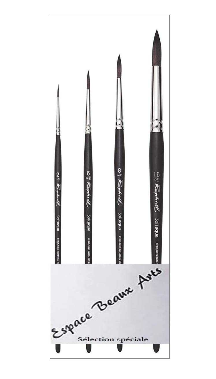 Raphael Softaqua Series 845 Vegan No. 2. 6. 8. 16. Set of 4 (Raphael France)