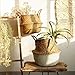 Wensltd Clearance! Seagrass Wicker Basket Wicker Basket Flower Pot Folding Basket Dirty Basket (White)
