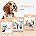 Dog Training Collar, Anti Bark Collar for Small, Medium, Large Dogs – Dog Bark Shock Collar Device to Stop,Control Barking w/Humane Newest Automatic-Blackthumb 3