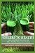 Cheers to Health: Juice, Super-Food Smoothie and Other Healthy Concoction Recipes by