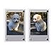 FoRapid 2 PCS 3-inch 2-Sided Clear Acrylic Refrigerator Magnetic Photo Frame-Elegant Frameless Display Fujifilm Mini 9 8 8+ 70 7s 90 25 26 50s Film/Cards/Memos/HP Pocket Photo Paper/2x3 Photo