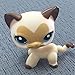 Rare Cat big Eyes Cute Kitten Littlest Pet Shop Toys Animals for Kids heart